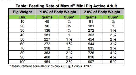 Mini Pig Weight Chart