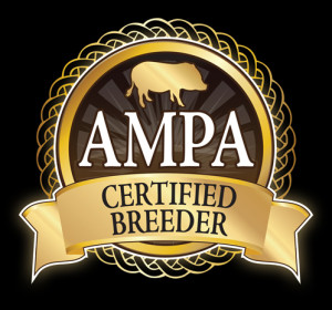 Certified Mini Pig Breeder 