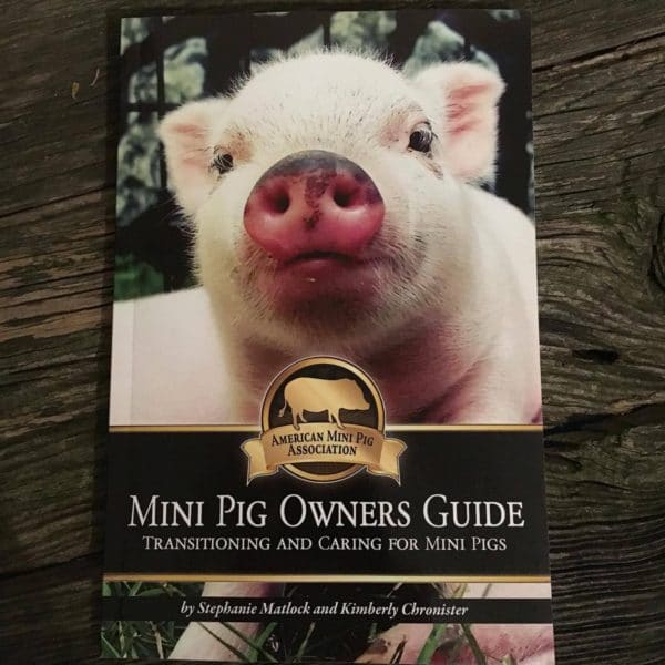 Mazuri Mini Pig Food Feeding Chart