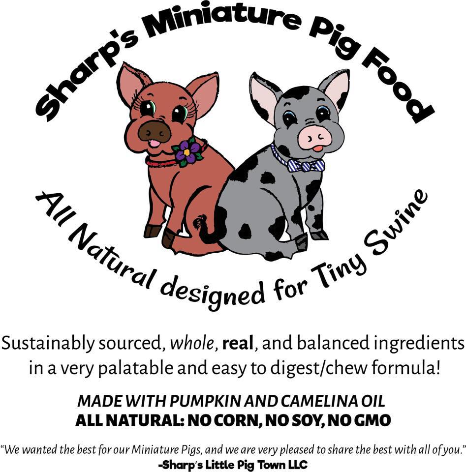 mini pig natural food