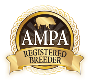Breeder logo