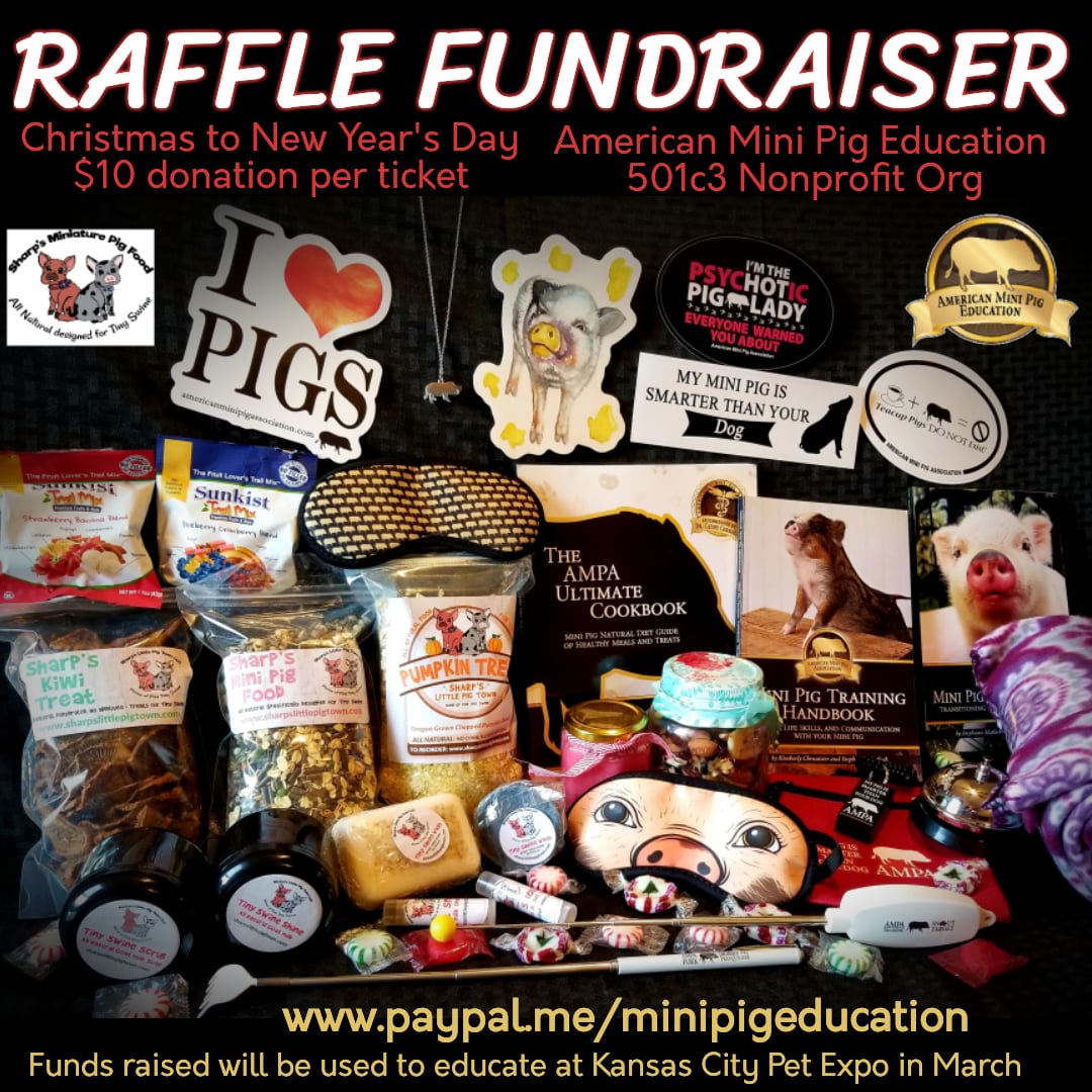 fundraising raffle