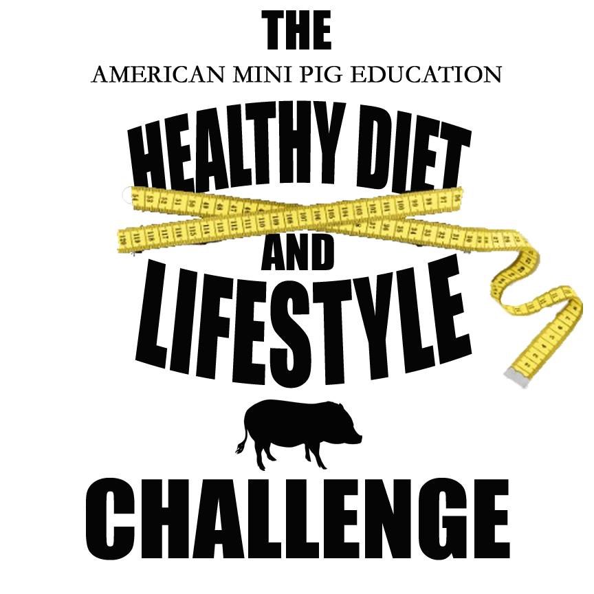 healthy diet challenge