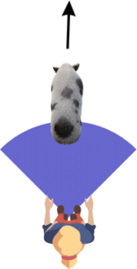Move your pig straight