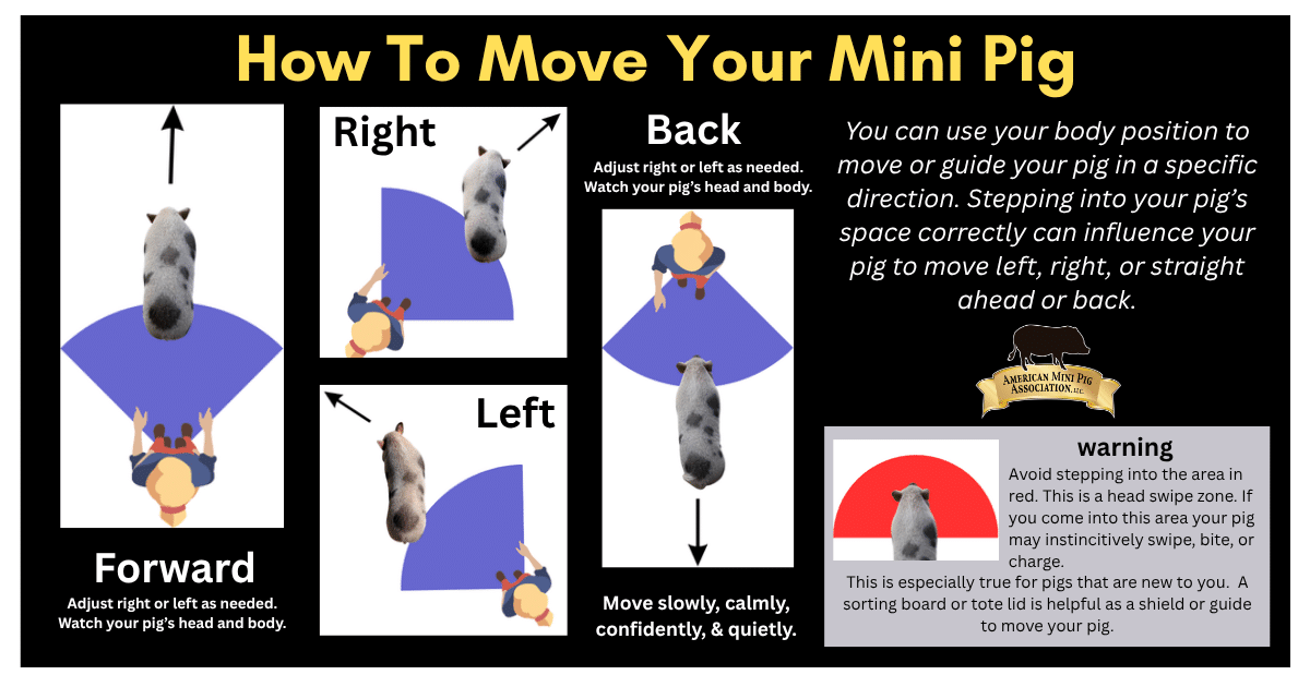 Move the Pig